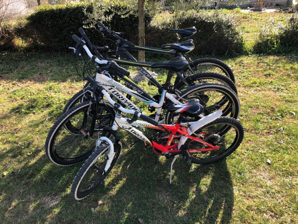 Madis & Free Bikes *