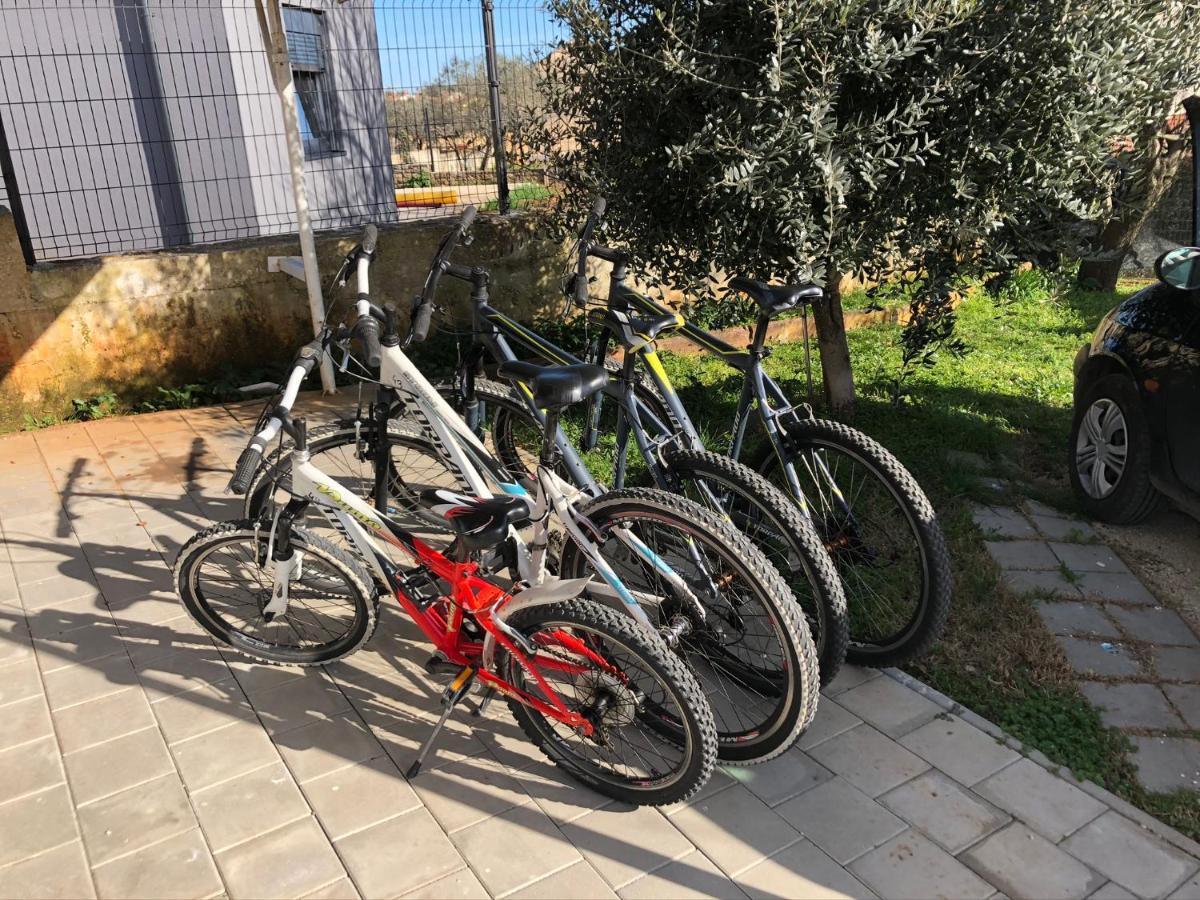 Madis & Free Bikes Pula
